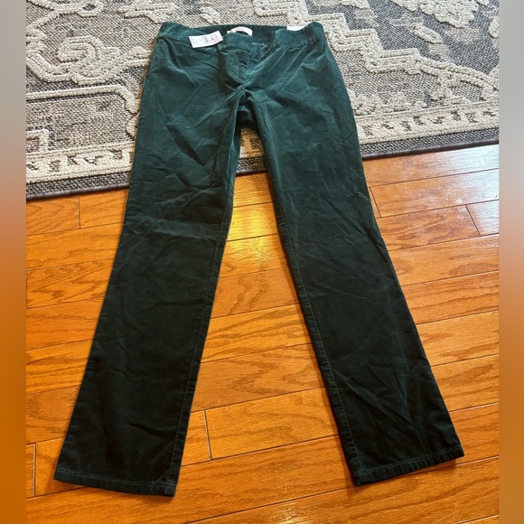 LOFT green velvety pants women’s size 8 NWT - Picture 1 of 4